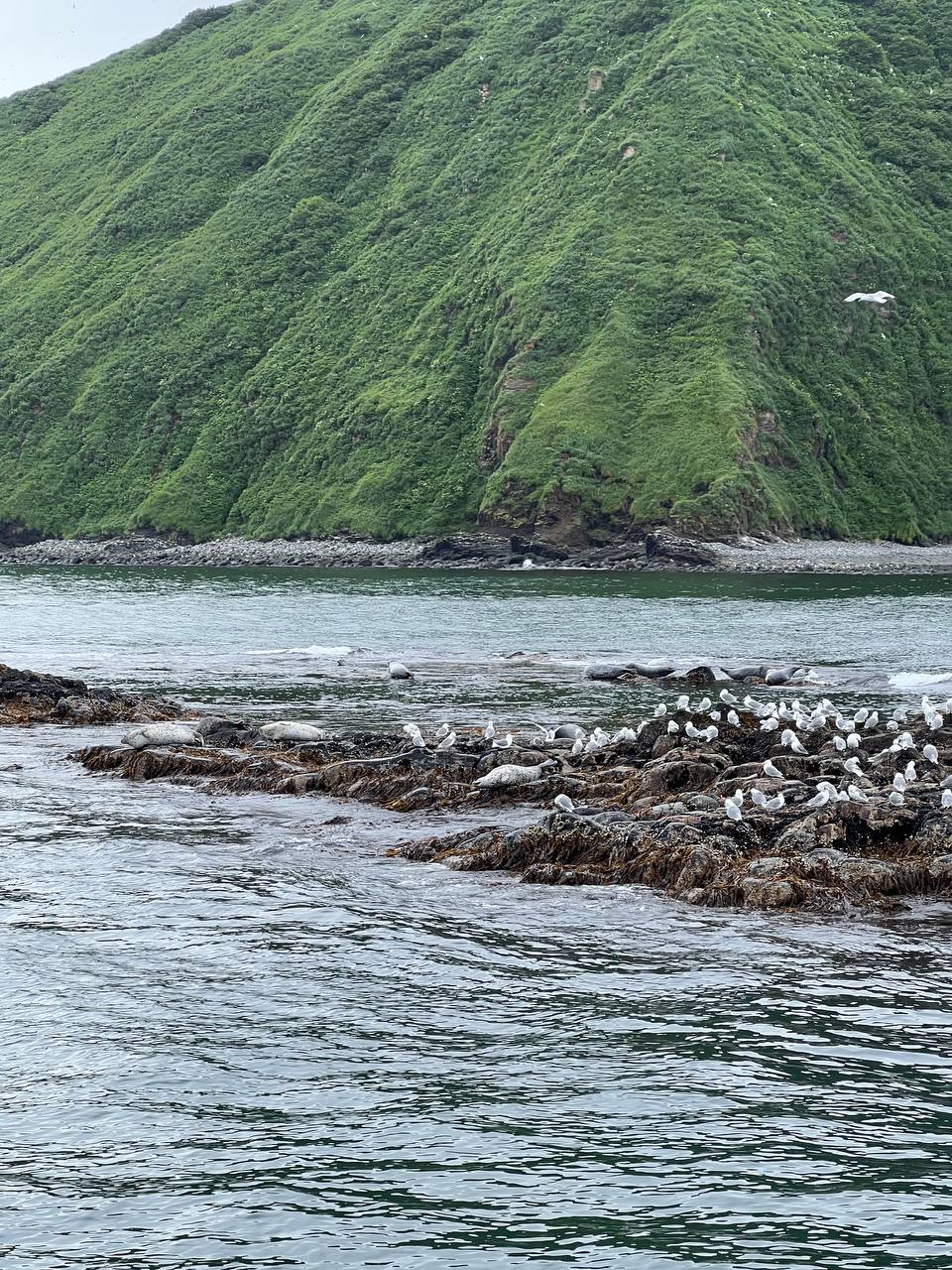 Камчатка. Вулканы, океан, рафтинг, рыбалка, восхождения (20/105)