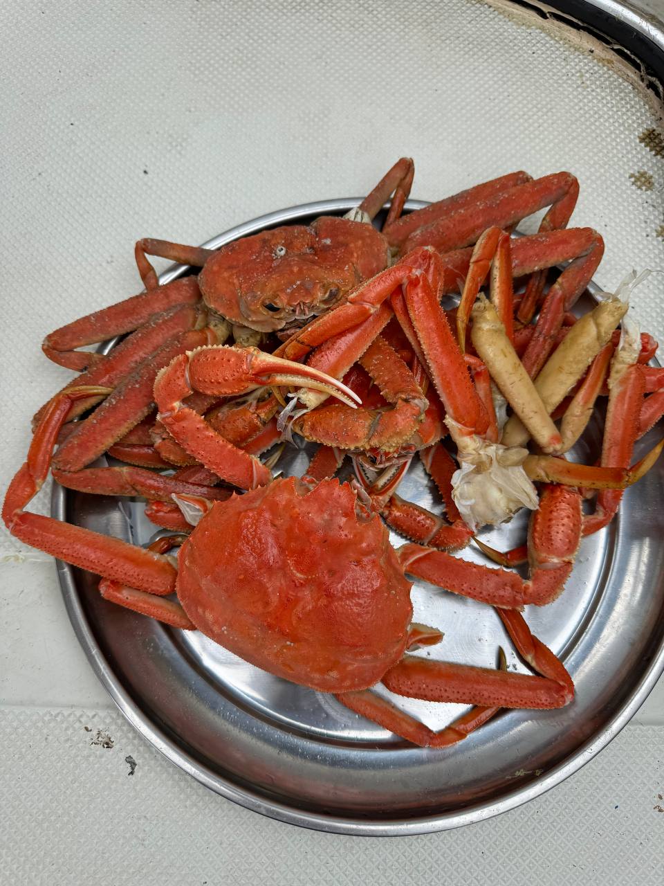 Камчатка. Вулканы, океан, рафтинг, рыбалка, восхождения (25/105)