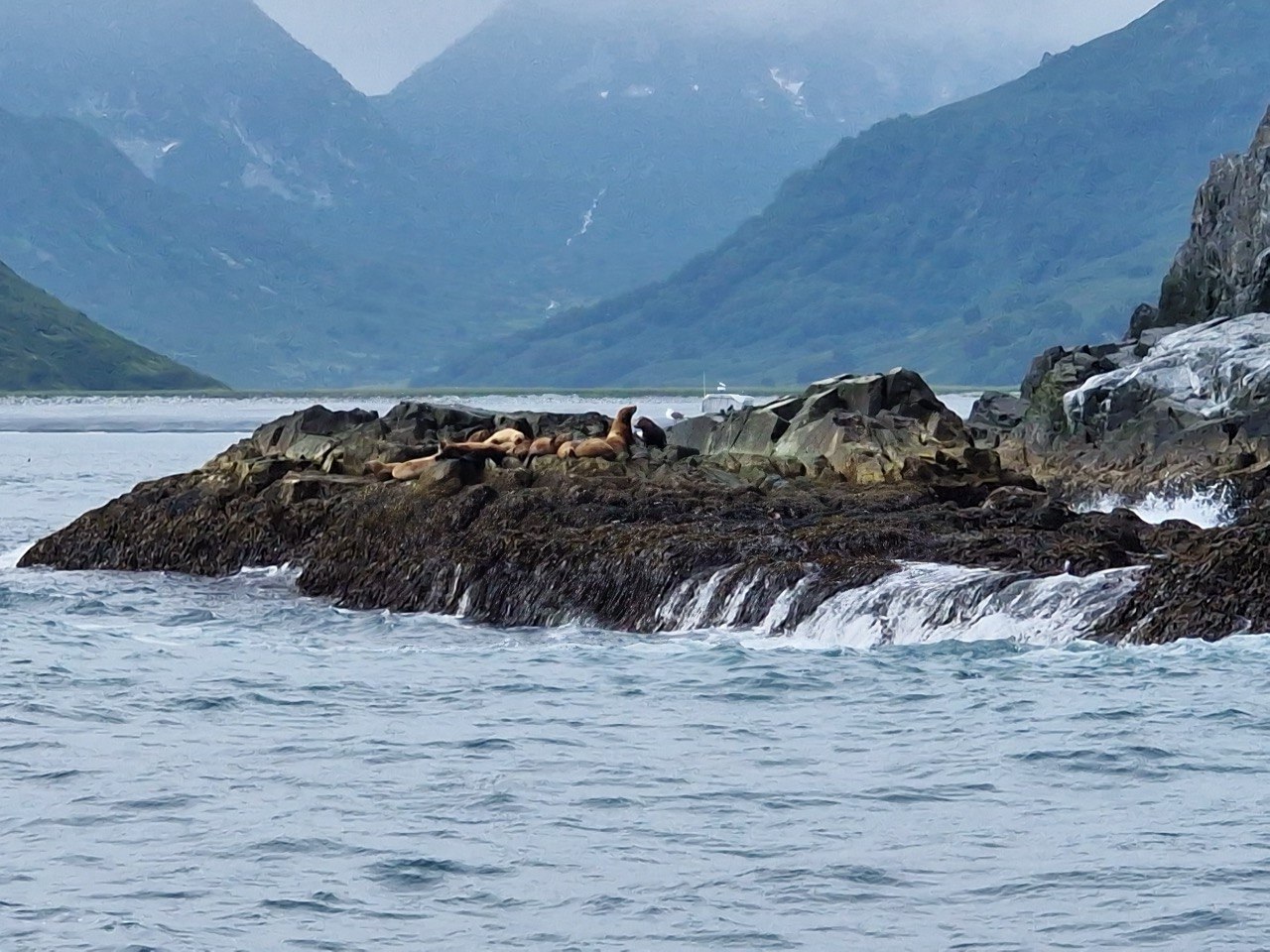 Камчатка. Вулканы, океан, рафтинг, рыбалка, восхождения (30/105)