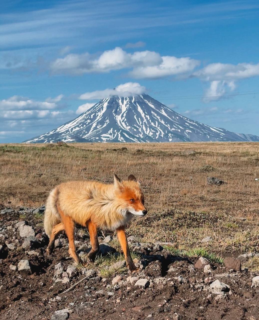 Камчатка. Вулканы, океан, рафтинг, рыбалка, восхождения (43/105)