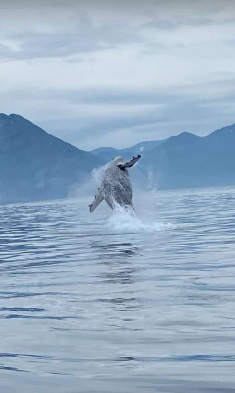 Камчатка. Вулканы, океан, рафтинг, рыбалка, восхождения (46/105)