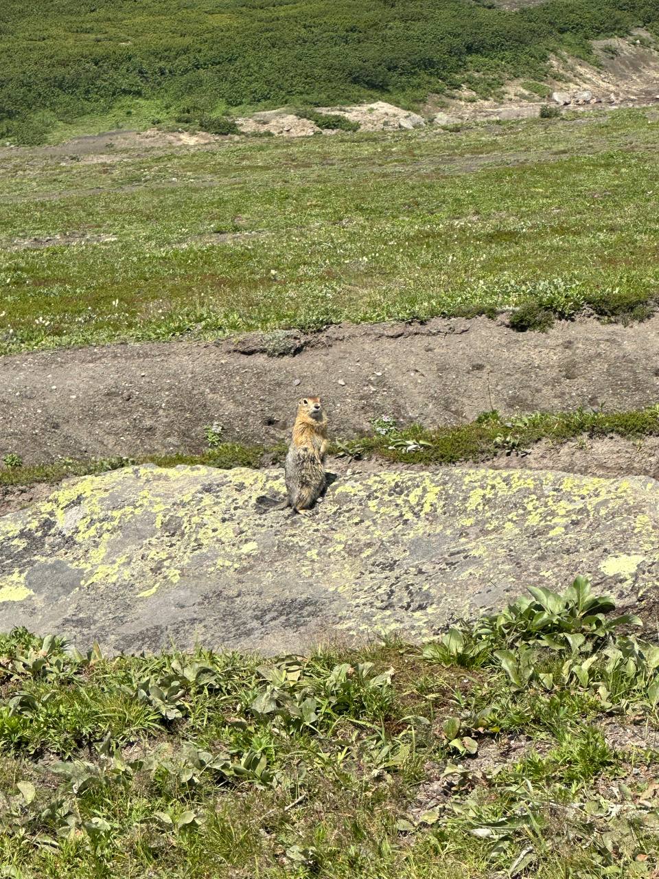Камчатка. Вулканы, океан, рафтинг, рыбалка, восхождения (18/105)