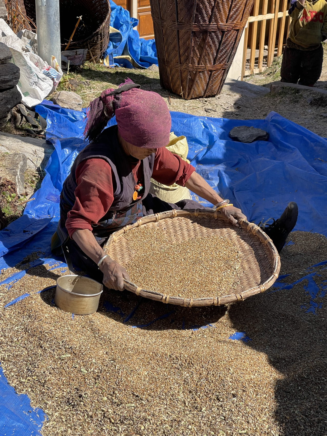 Треккинг Кольцо Манаслу (8/14)