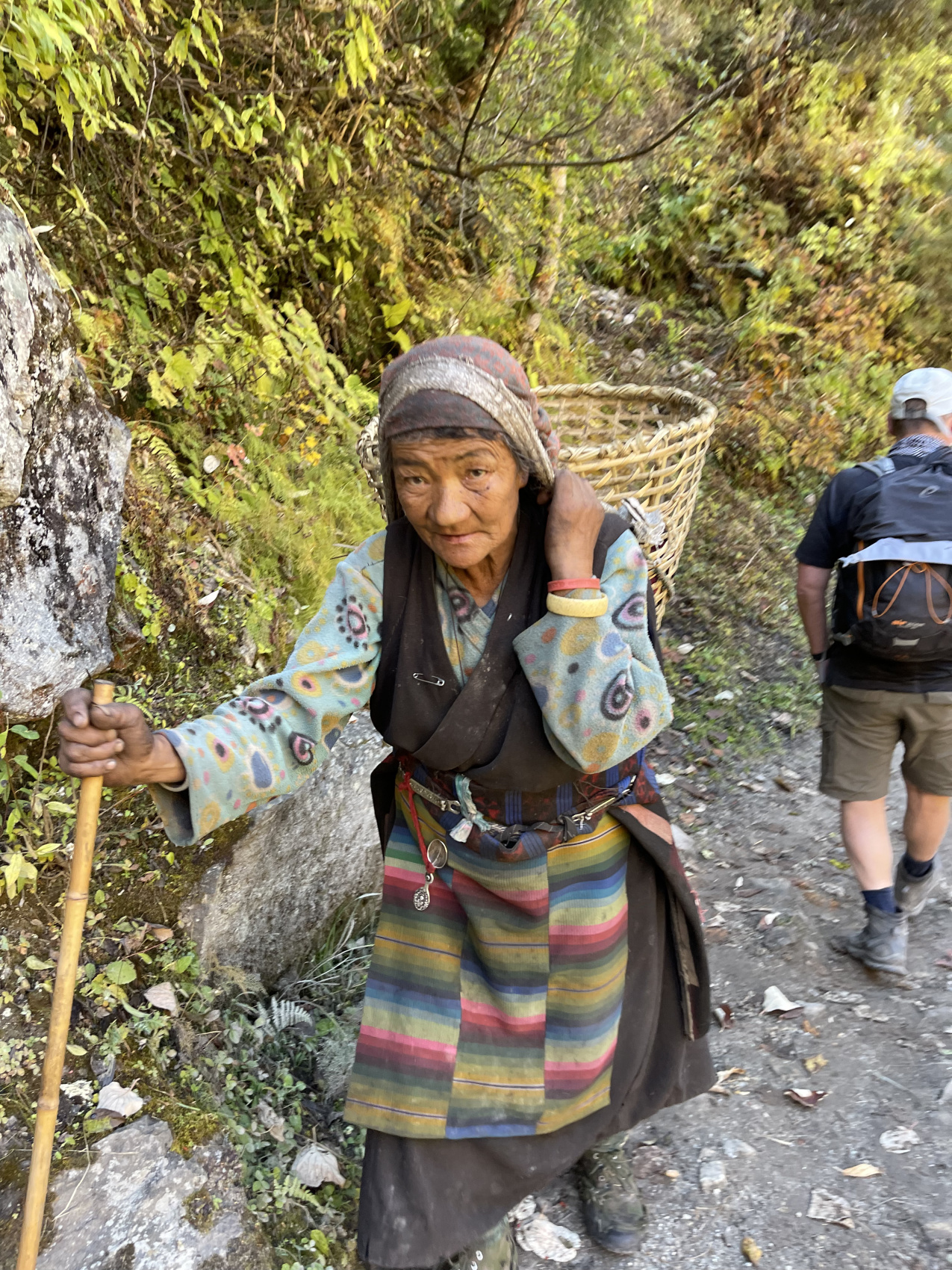 Треккинг Кольцо Манаслу (7/14)