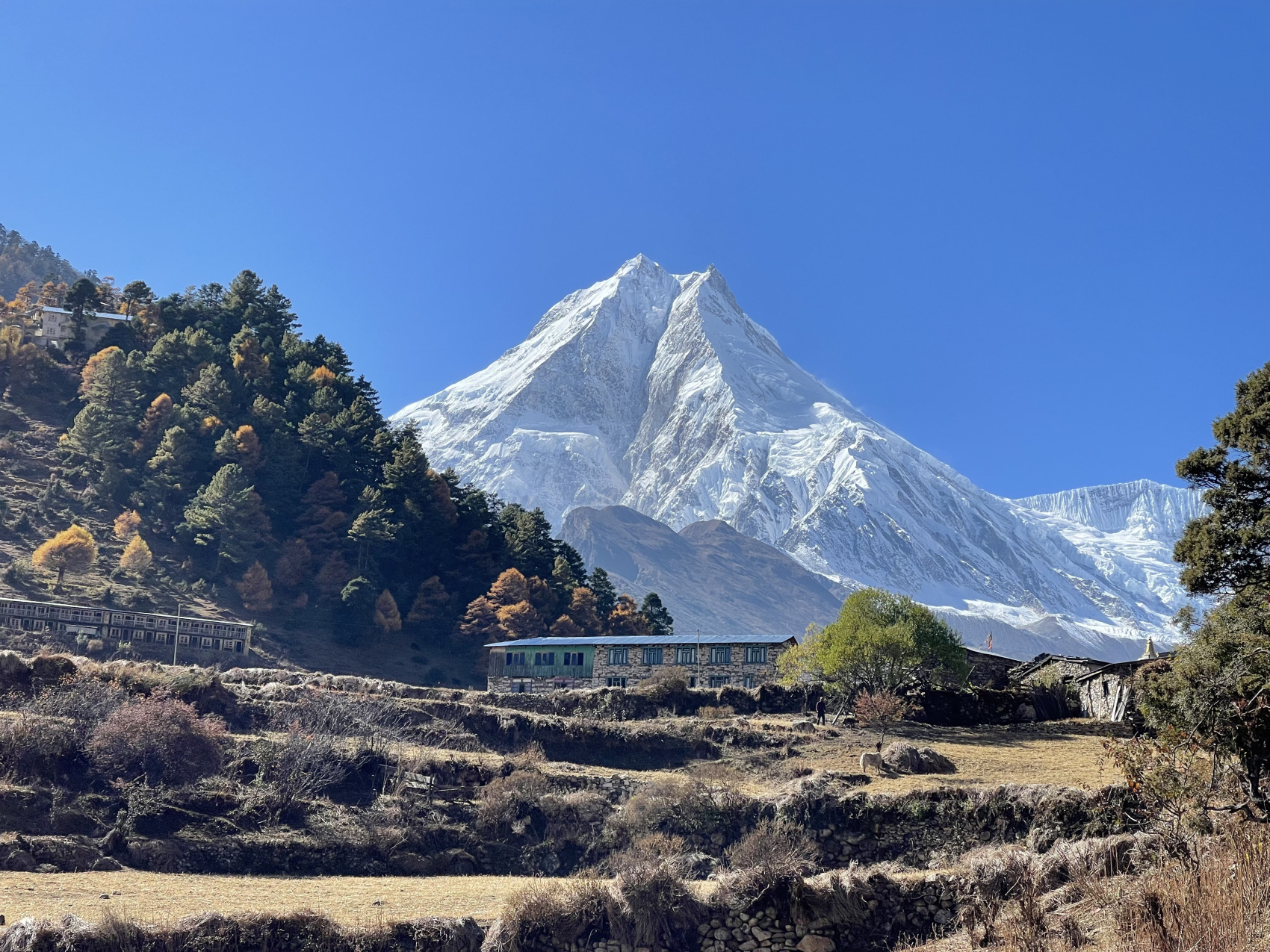 Треккинг Кольцо Манаслу (9/14)