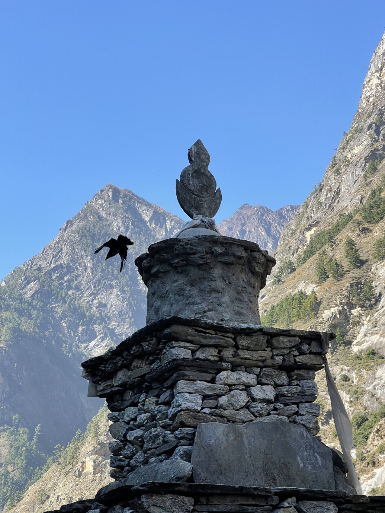 Треккинг Кольцо Манаслу (6/14)