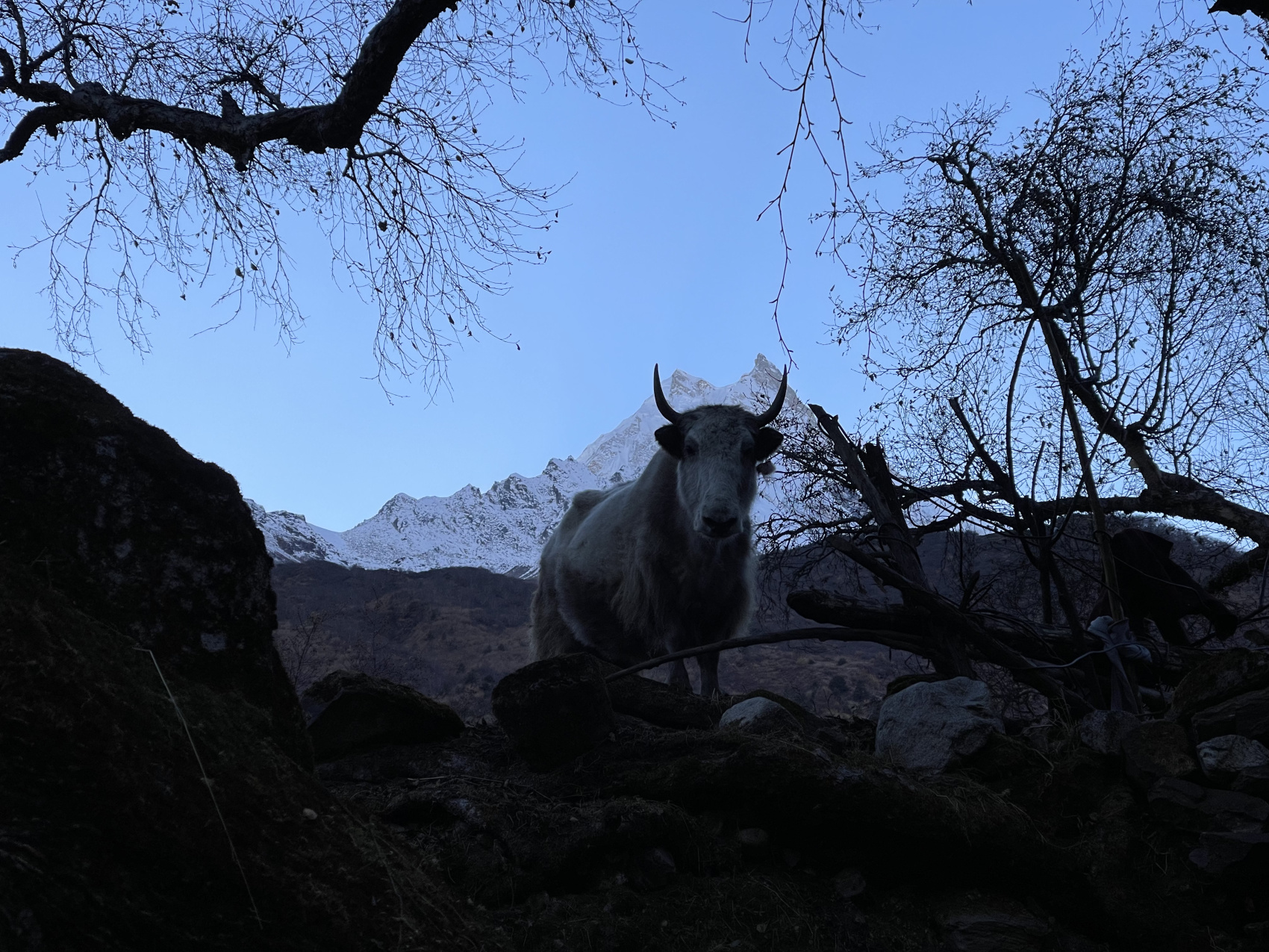 Треккинг Кольцо Манаслу (14/14)