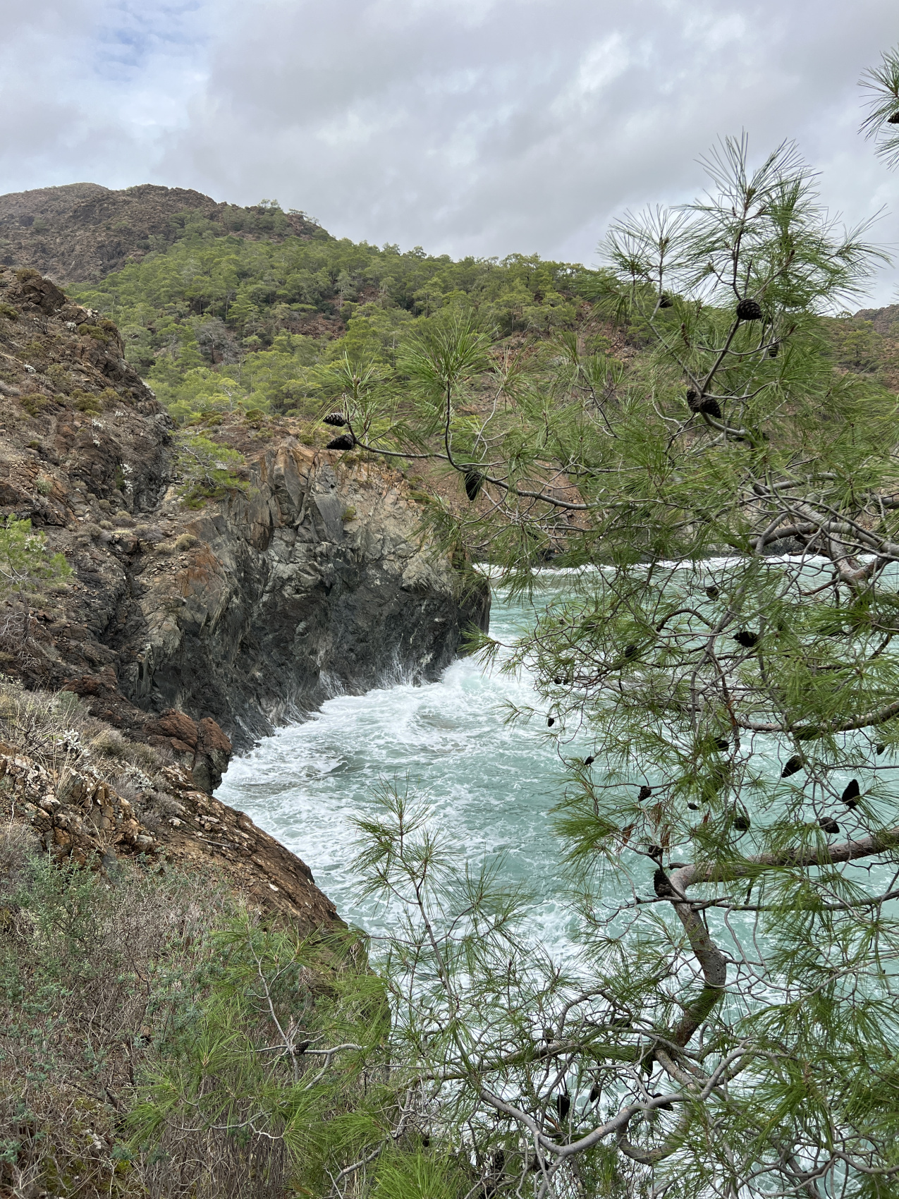 Пляжный тур в Турцию. Чиралы, Каш, Олюдениз, Фетхие - за 7 дней (13/74)