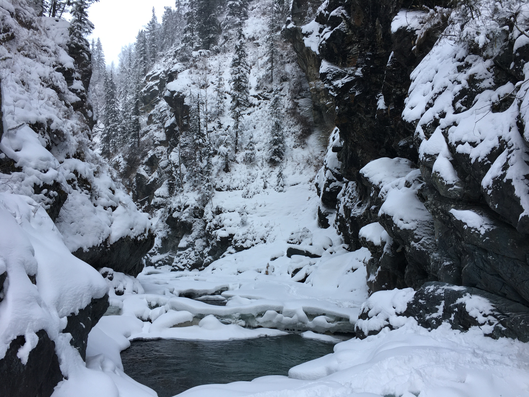 К подножию Белухи на снегоходах (комфорт) (18/31)