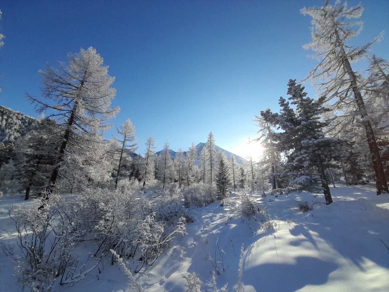 К подножию Белухи на снегоходах (комфорт) (12/31)