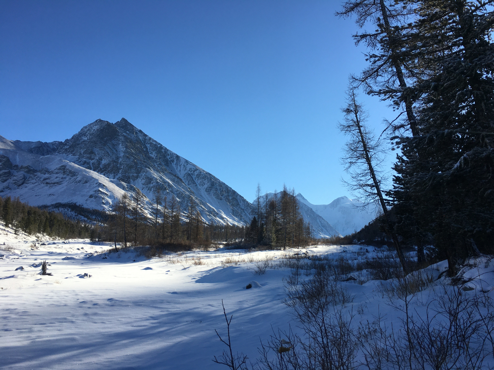 К подножию Белухи на снегоходах (комфорт) (13/31)