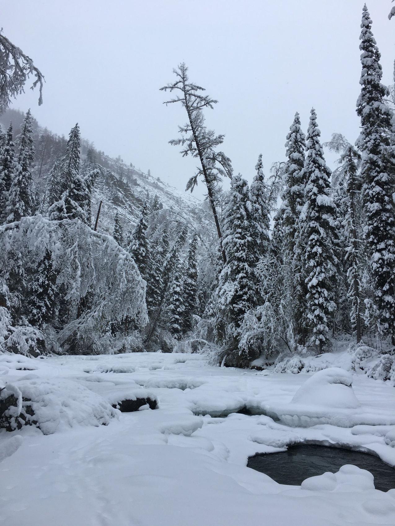 К подножию Белухи на снегоходах (комфорт) (17/31)