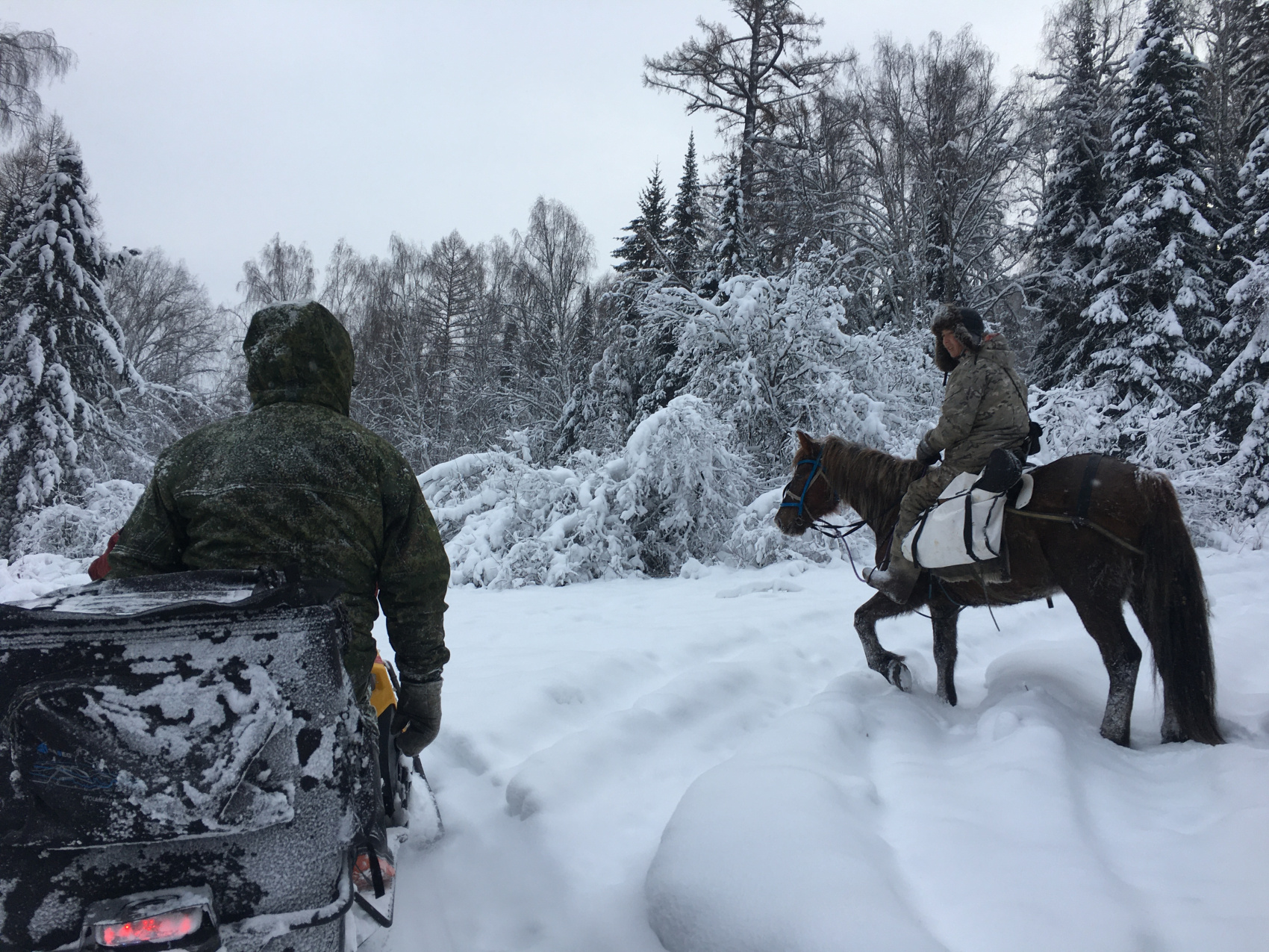 К подножию Белухи на снегоходах (комфорт) (10/31)