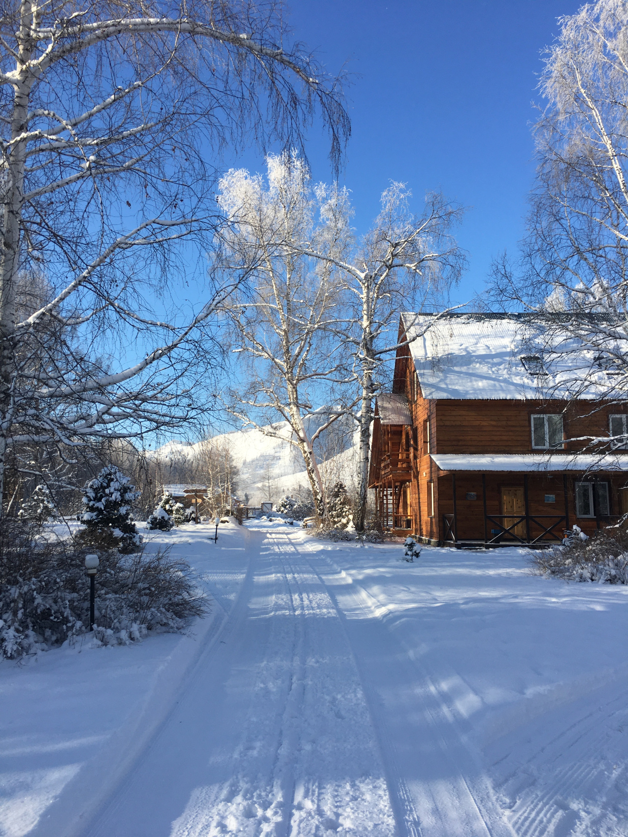 К подножию Белухи на снегоходах (комфорт) (9/31)