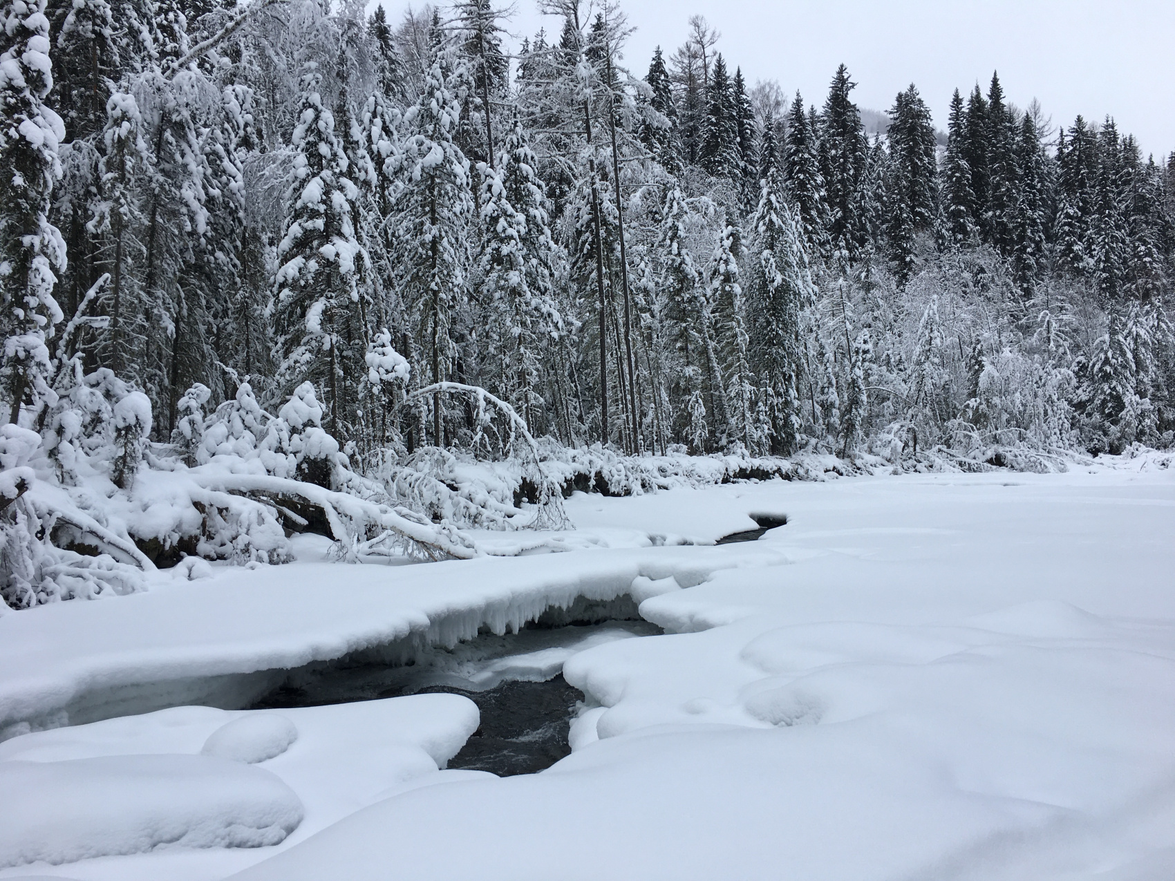 К подножию Белухи на снегоходах (комфорт) (16/31)