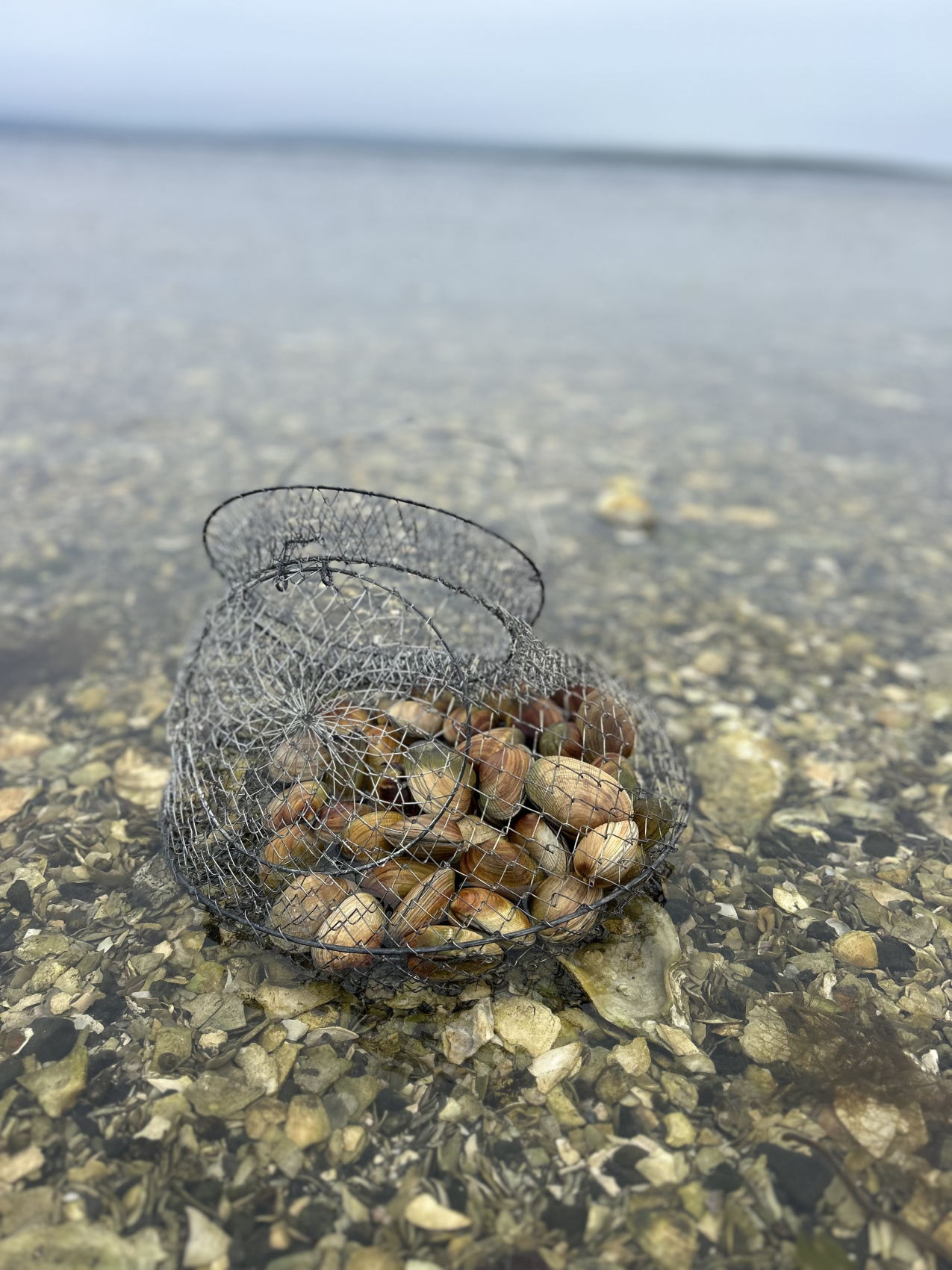 Авторский тур на Сахалин (33/61)