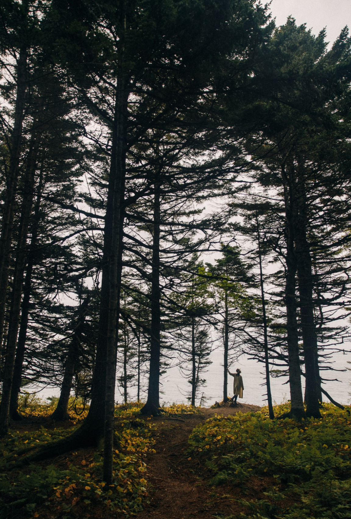 Авторский тур на Сахалин (28/61)