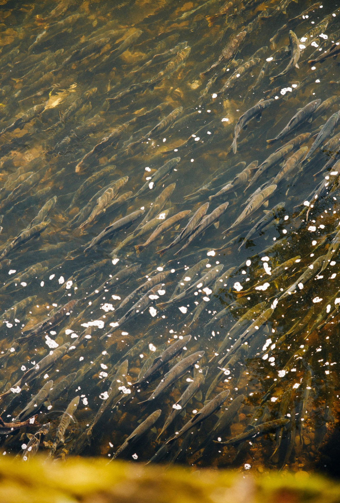 Авторский тур на Сахалин (3/61)