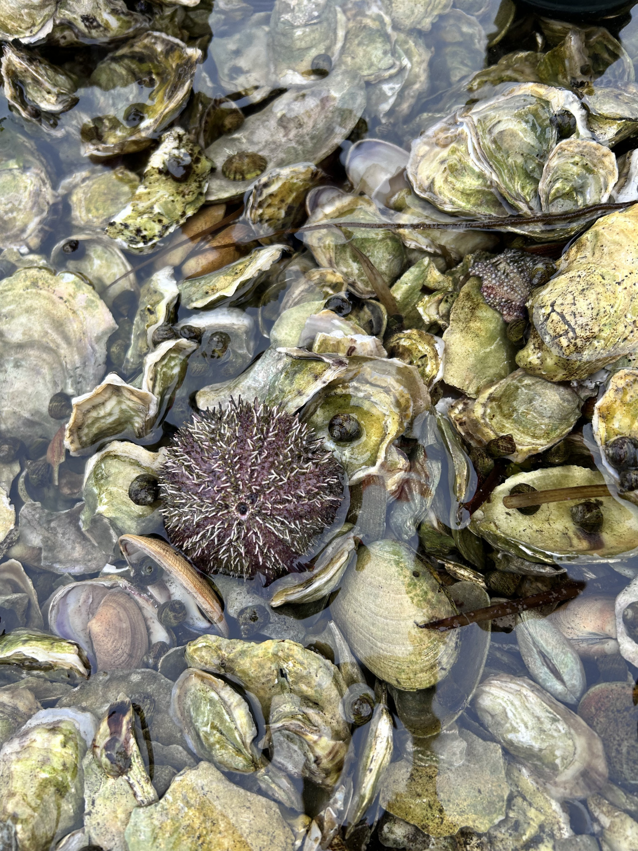 Авторский тур на Сахалин (35/61)