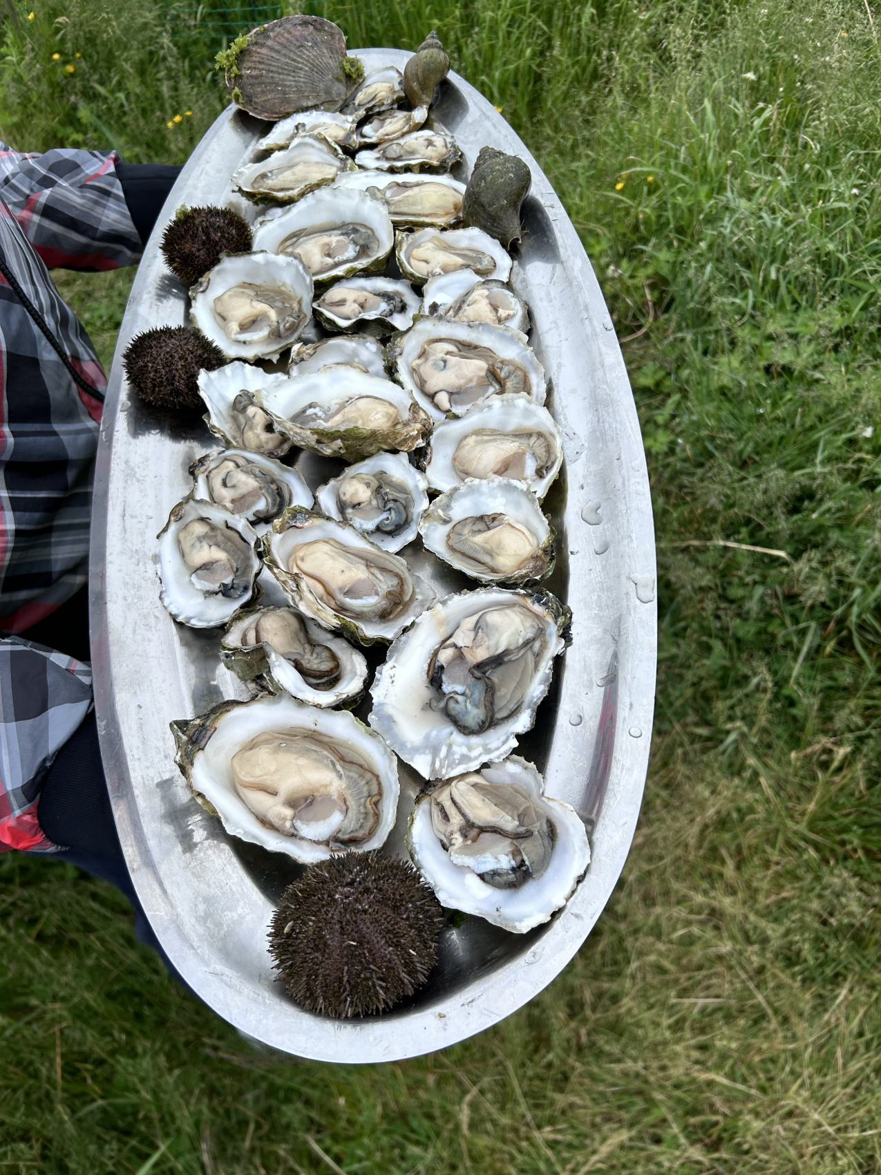 Авторский тур на Сахалин (34/61)