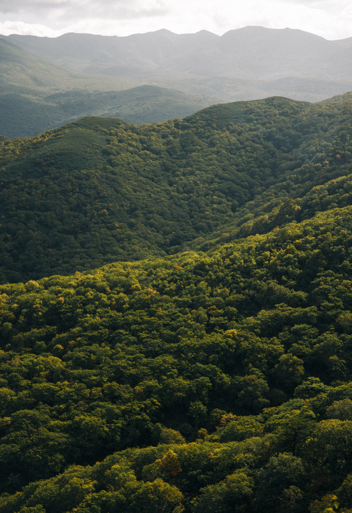 Авторский тур на Сахалин (5/61)