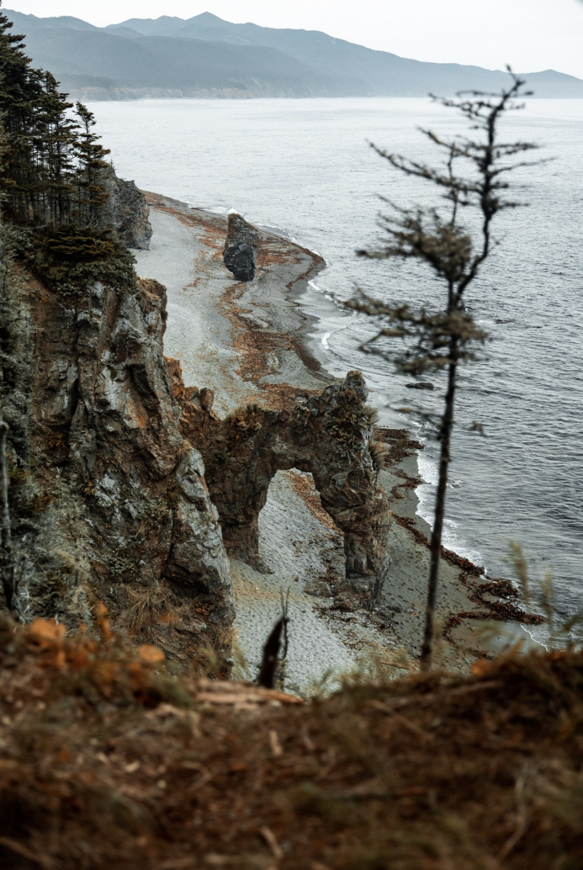 Авторский тур на Сахалин (29/61)
