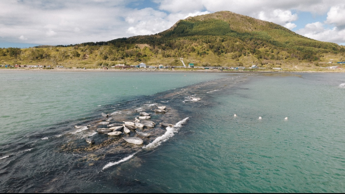 Авторский тур на Сахалин (17/61)