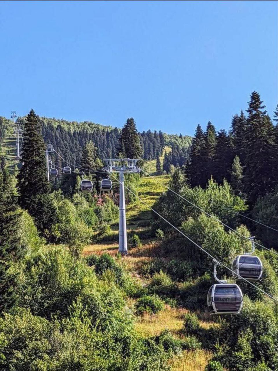 Колоритная Сванетия+Батуми. Тур-погружение в культуру и жизнь! (56/87)