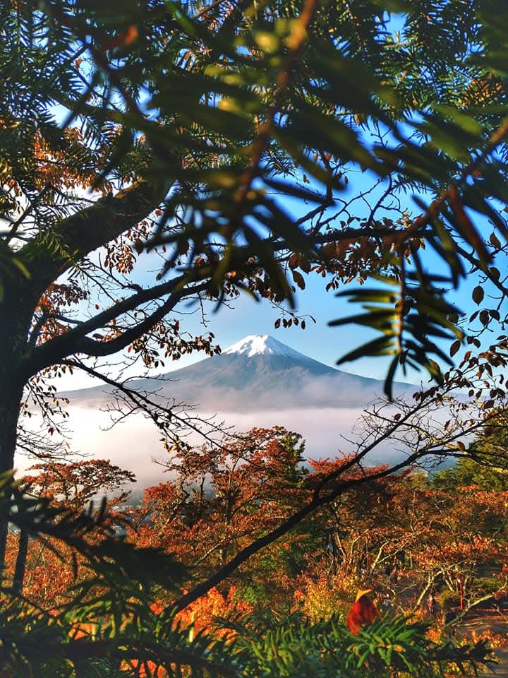 Япония, коротко о главном. Пик момидзи. Личный гид + водитель. (4/29)
