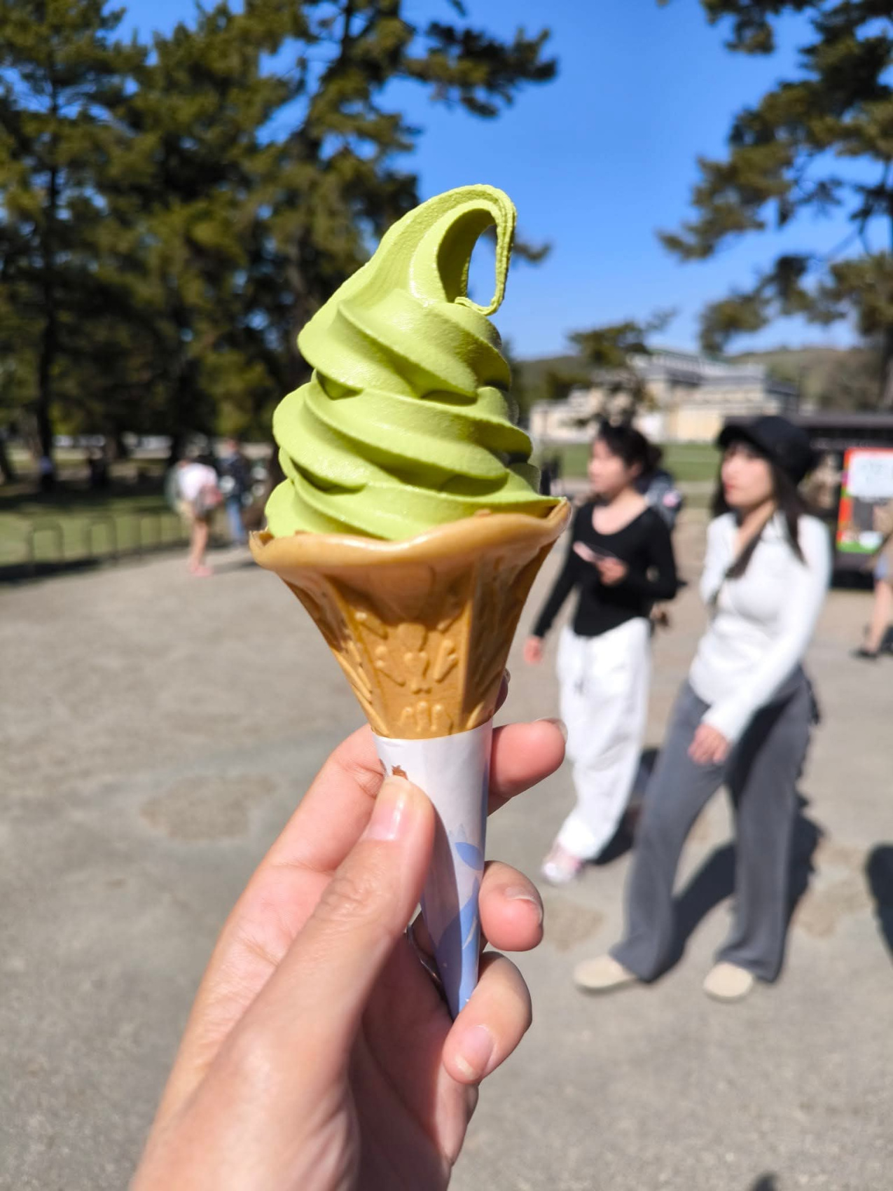 Япония, коротко о главном. Пик момидзи. Личный гид + водитель. (7/29)