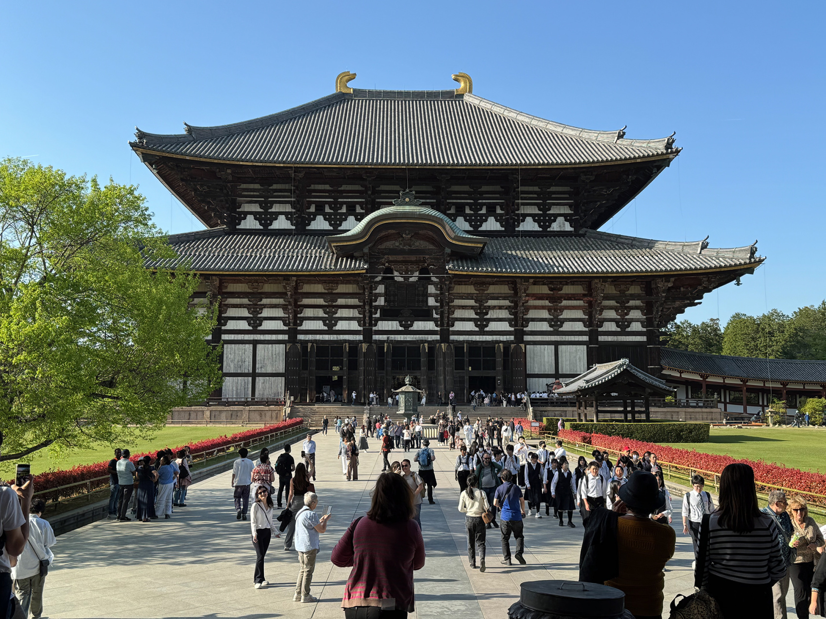 Япония, коротко о главном. Пик момидзи. Личный гид + водитель. (23/29)