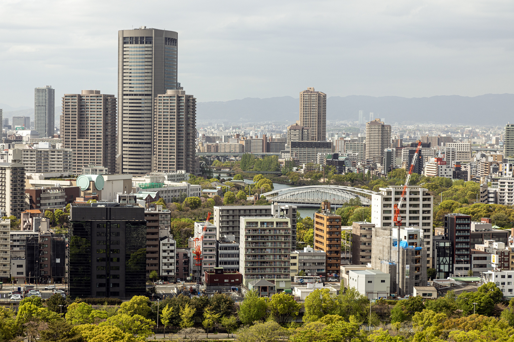 Япония, коротко о главном. Пик момидзи. Личный гид + водитель. (25/29)