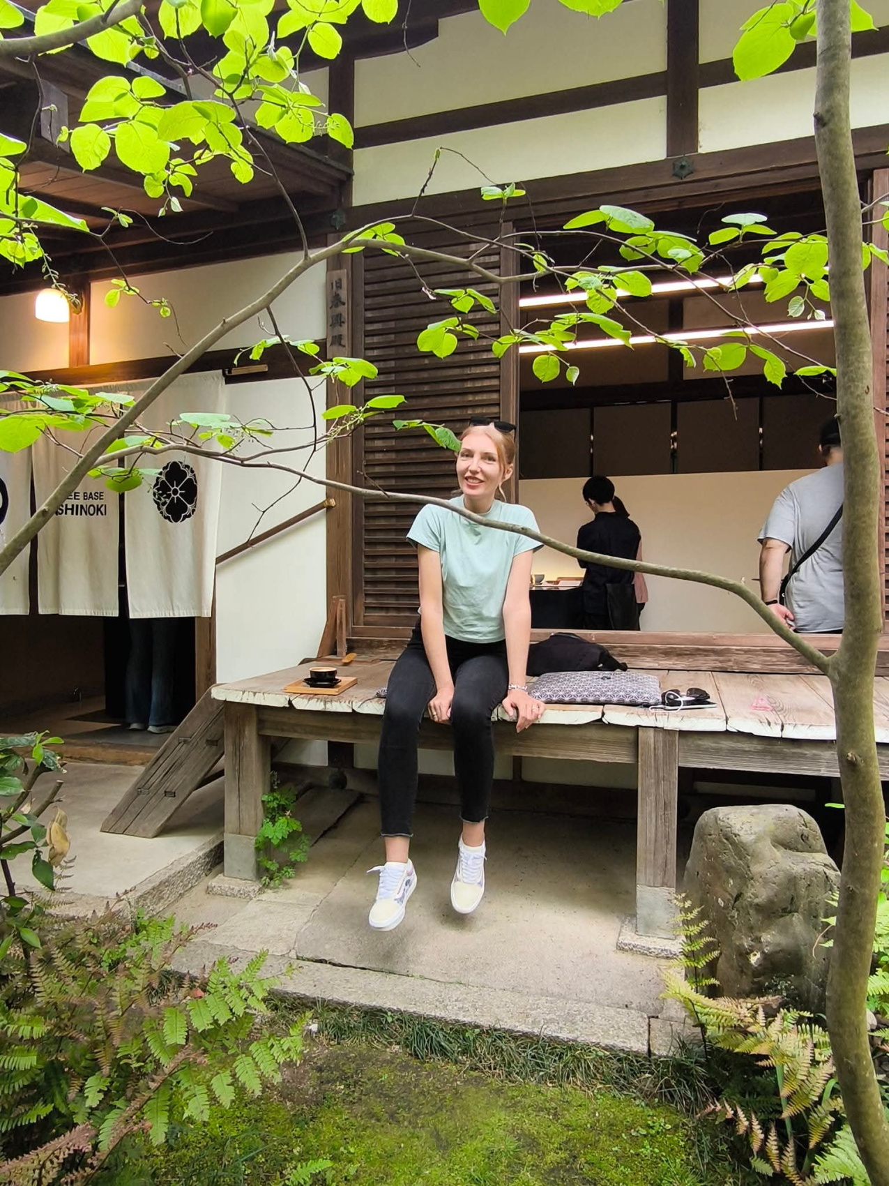 Япония, коротко о главном. Пик момидзи. Личный гид + водитель. (18/29)