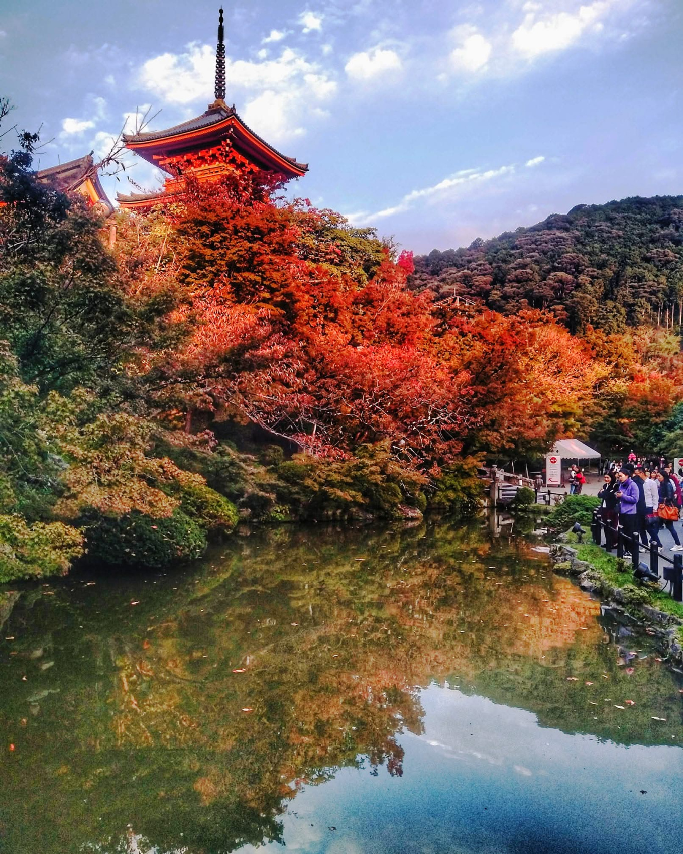 Япония, коротко о главном. Пик момидзи. Личный гид + водитель. (13/29)