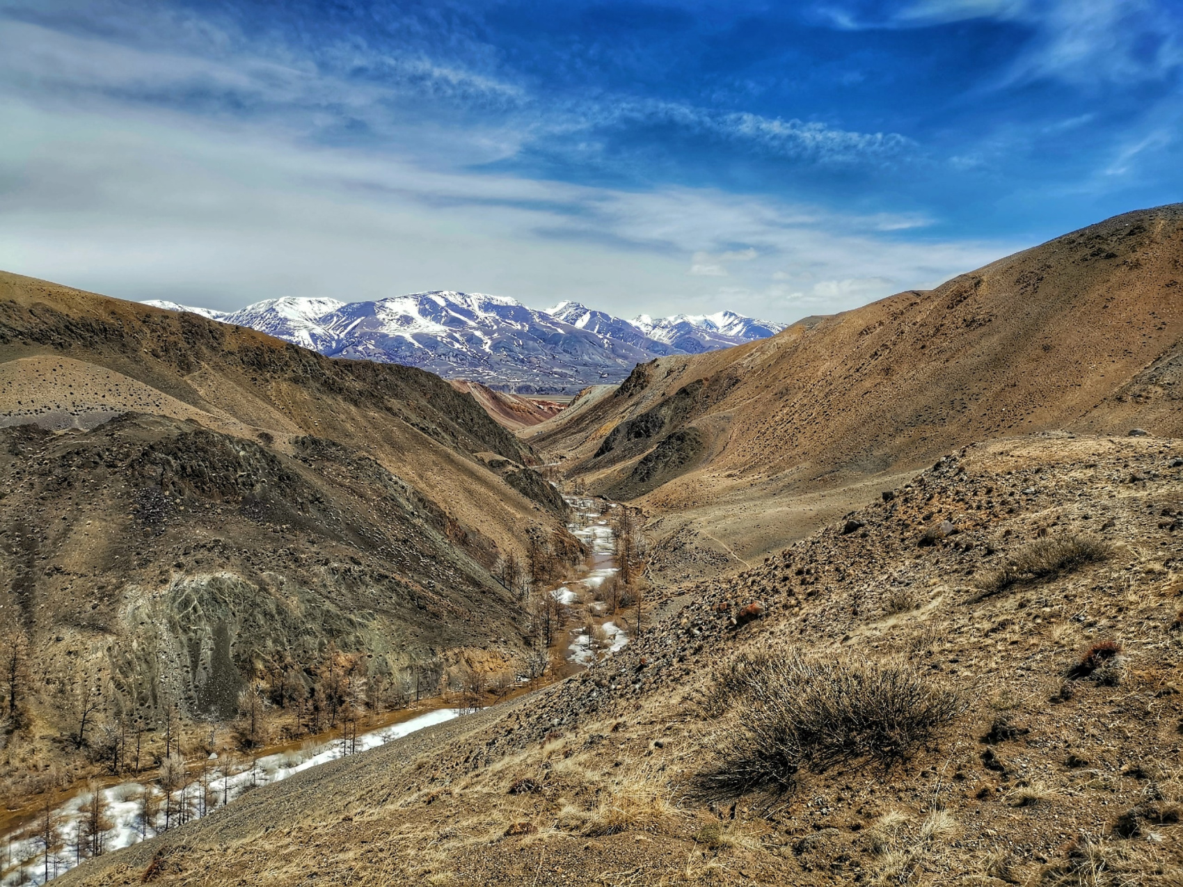 Майские фиолетовые (3/25)