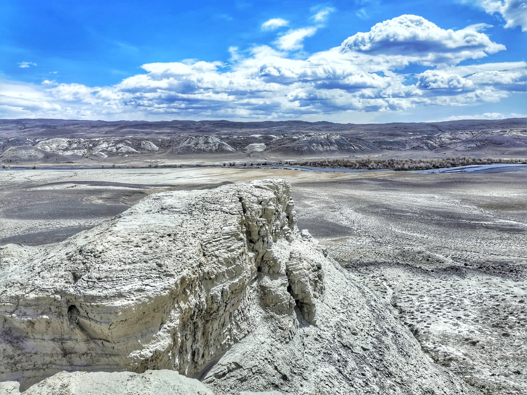 Майские фиолетовые (4/25)