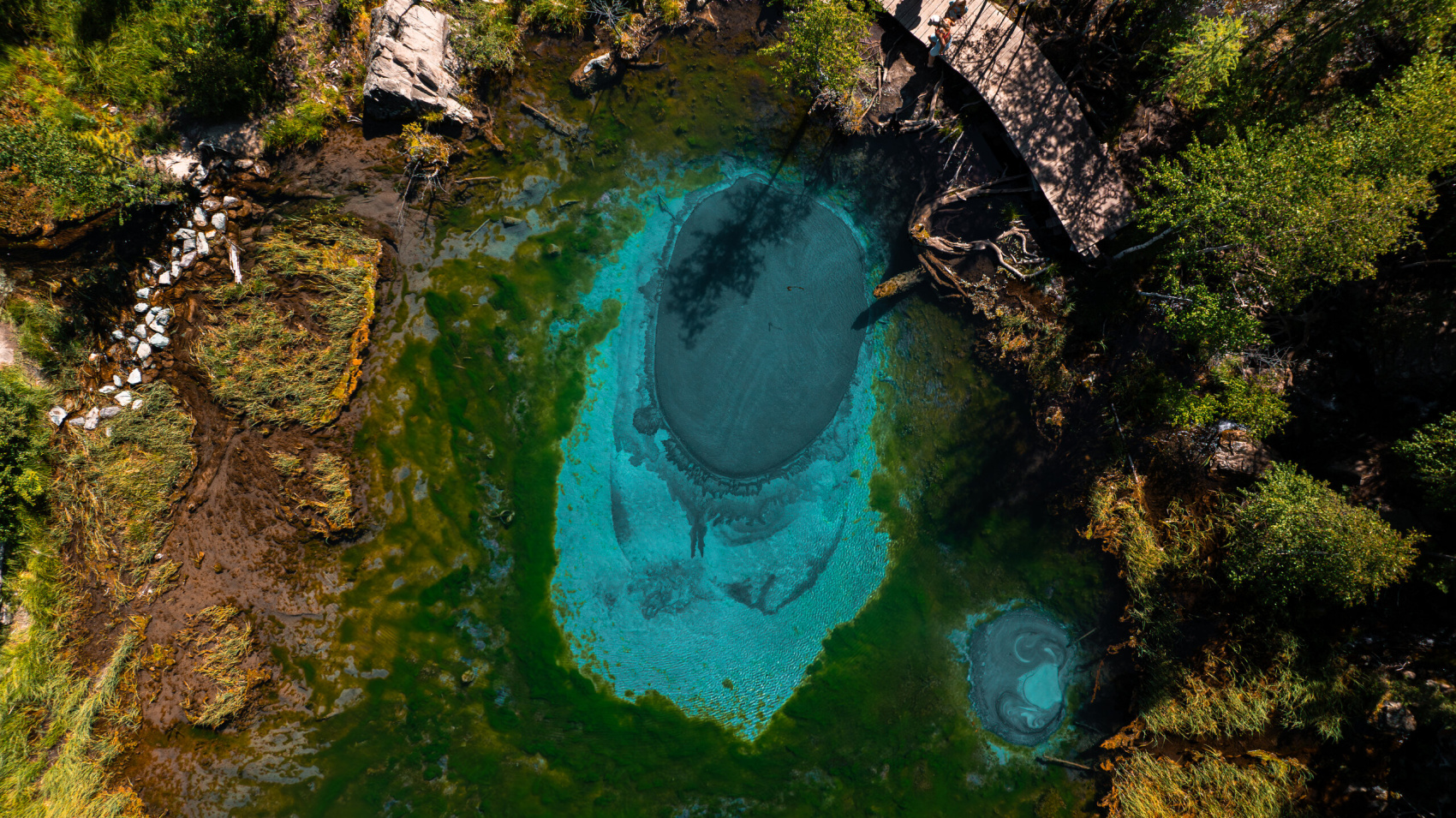 Золотое кольцо Алтая, 7 дней (8/20)