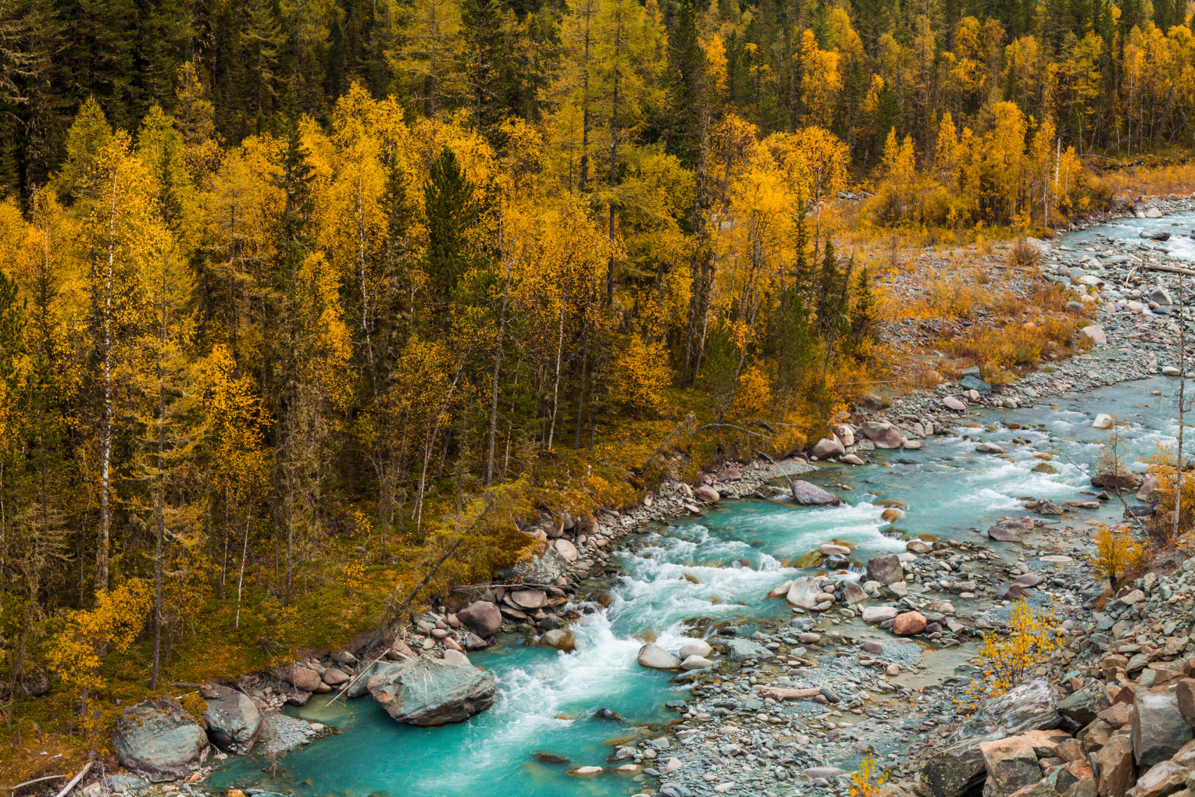 Золотое кольцо Алтая, 7 дней (3/20)