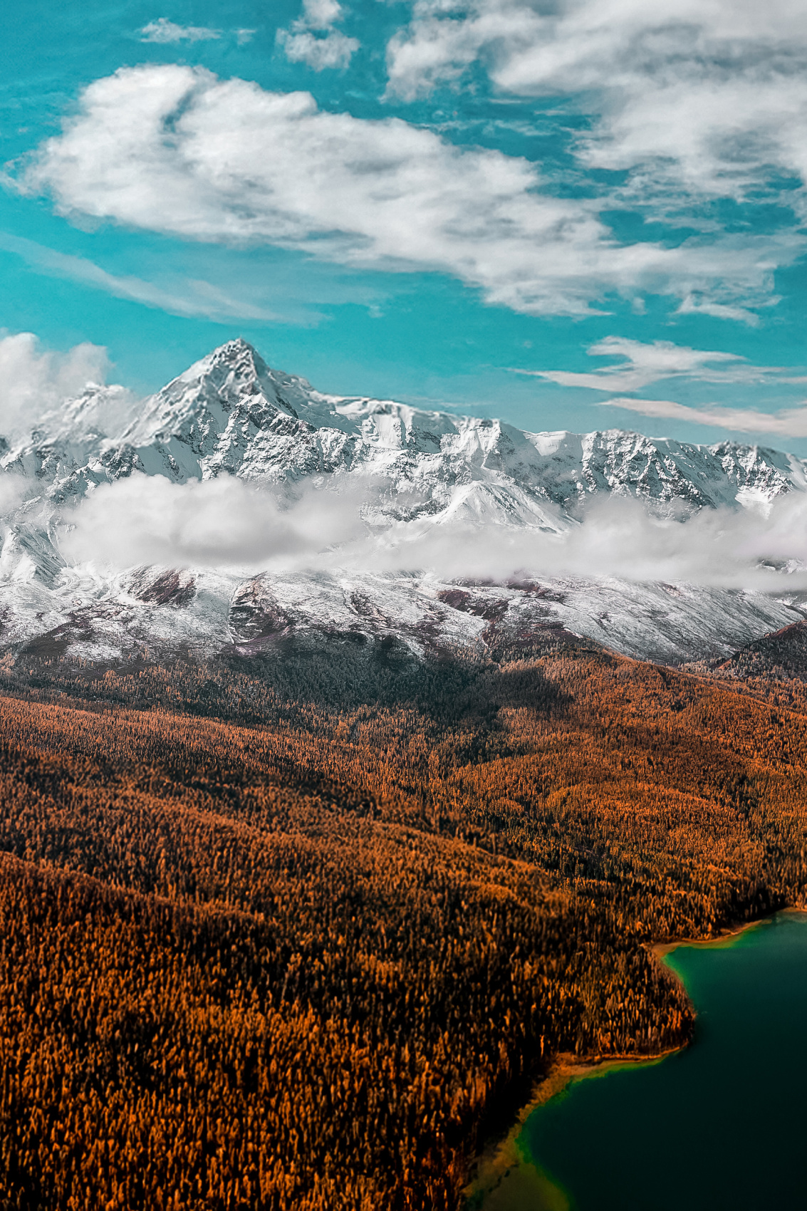 Весь Алтай (9/28)