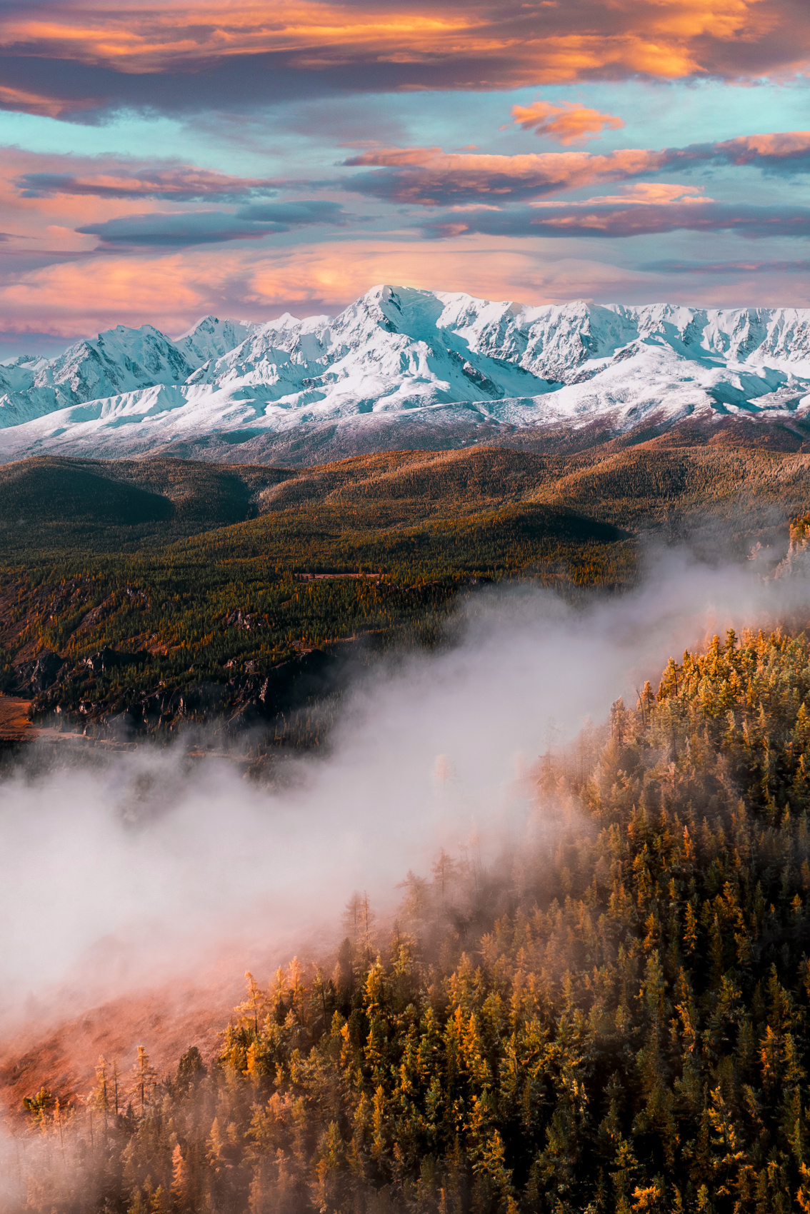 Весь Алтай (1/28)