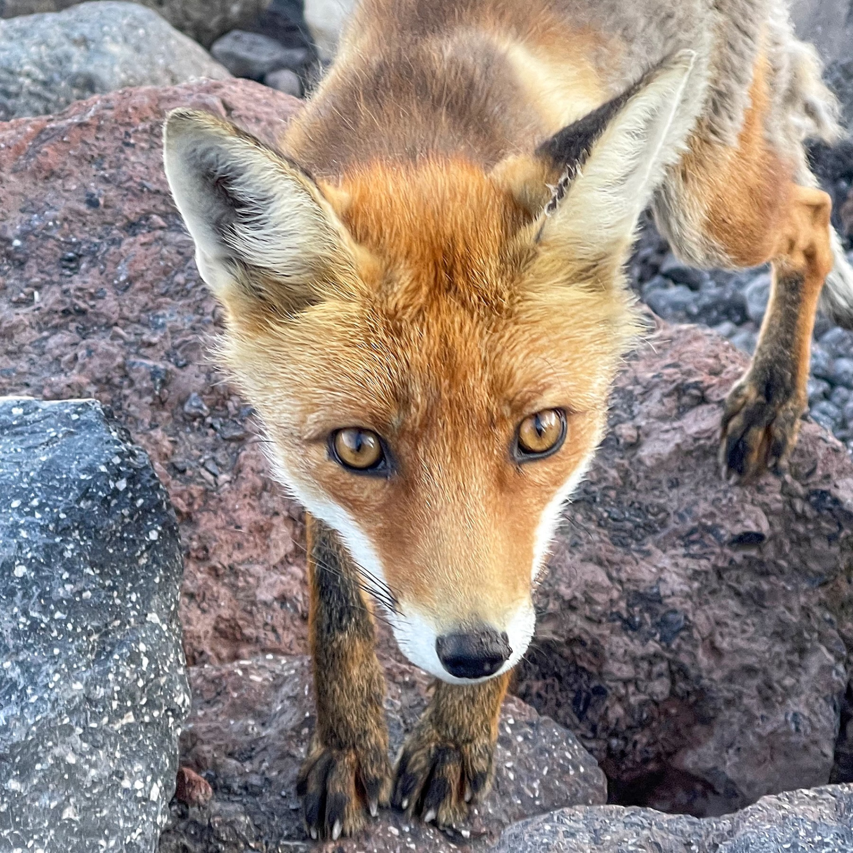 Отдых в Приэльбрусье, 9 дней (4/11)