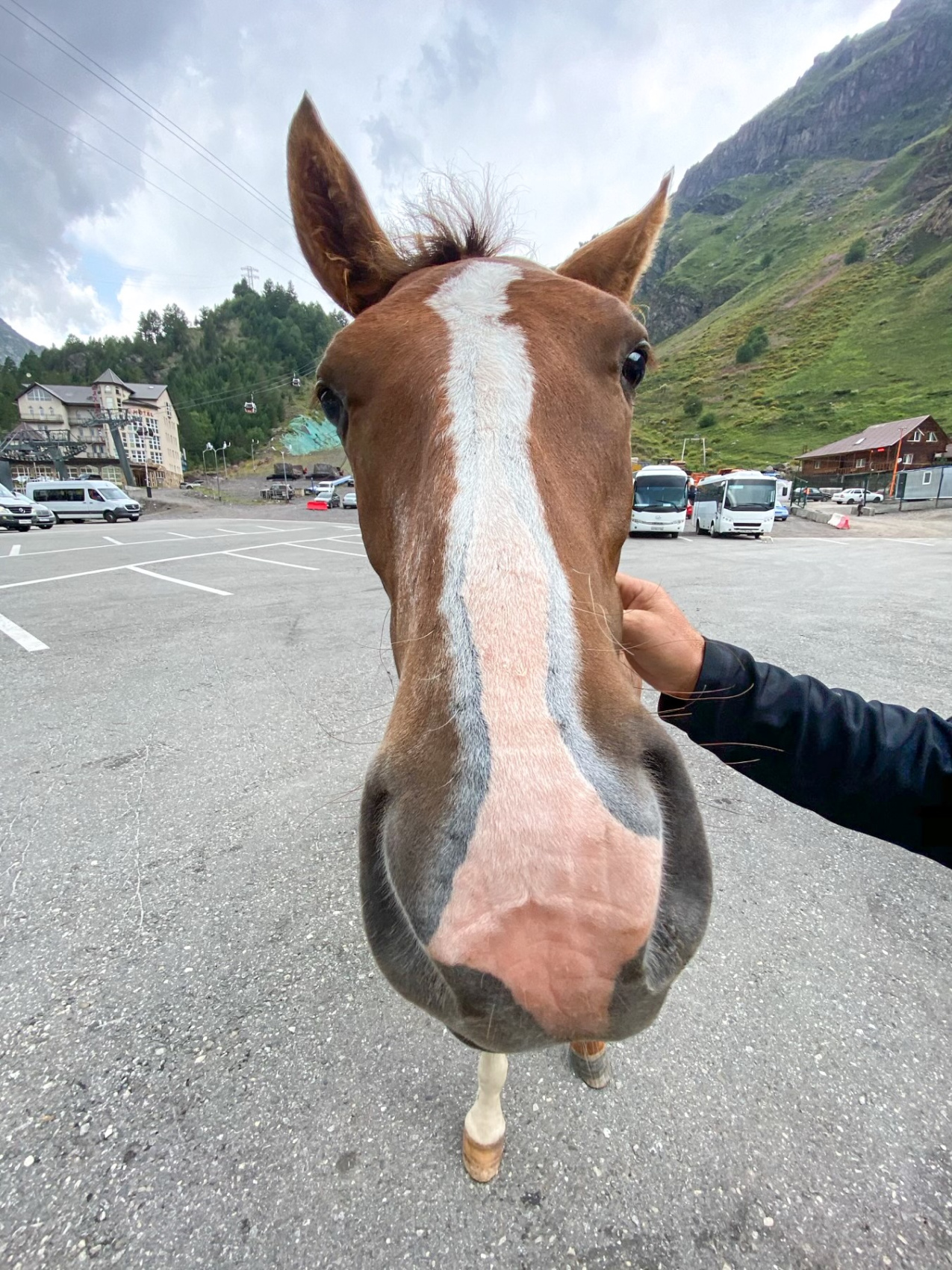 Отдых в Приэльбрусье, 9 дней (10/11)