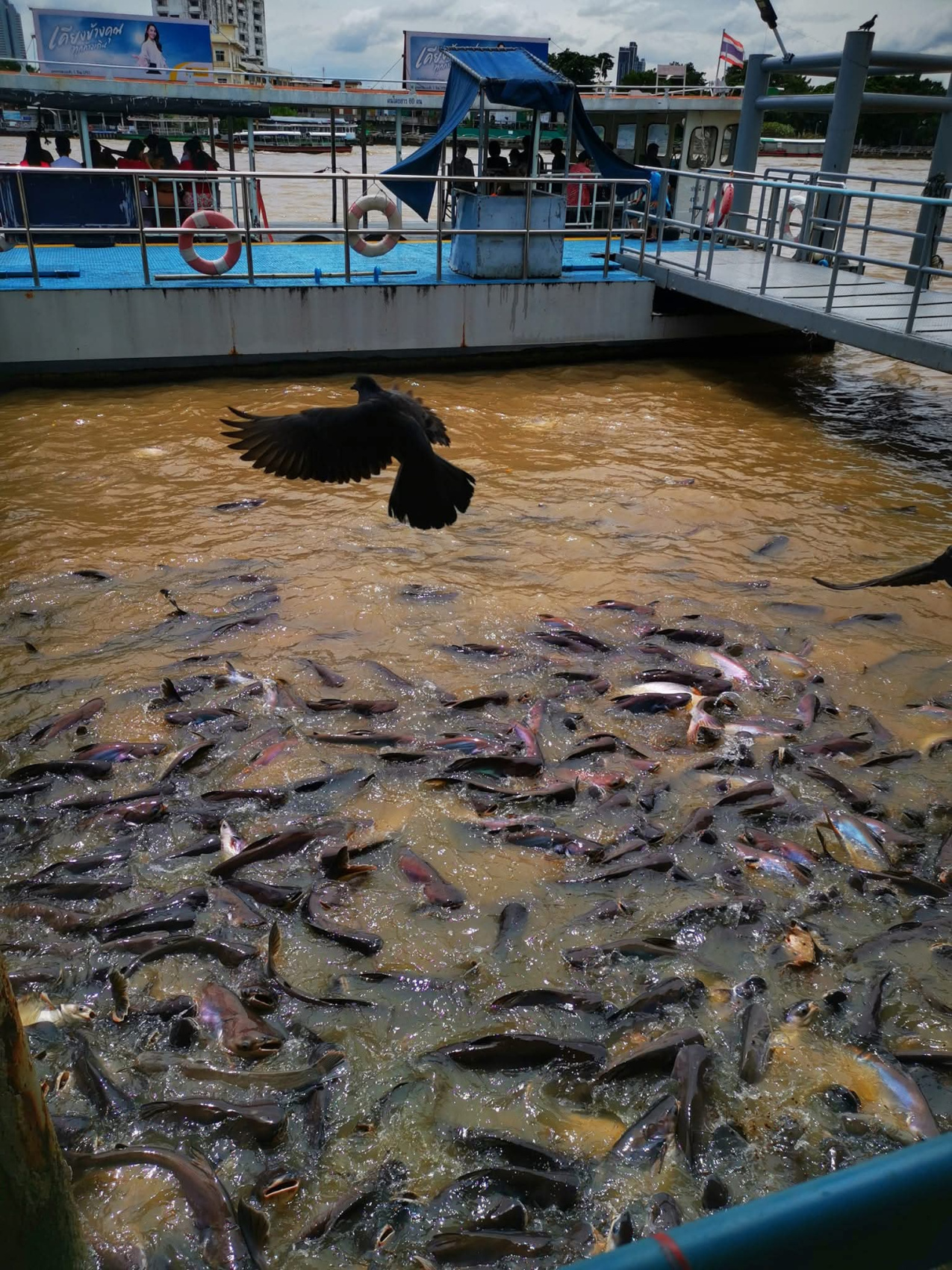 Таиланд и Камбоджа. На стыке двух культур. Пляж Ко Самет. (17/33)