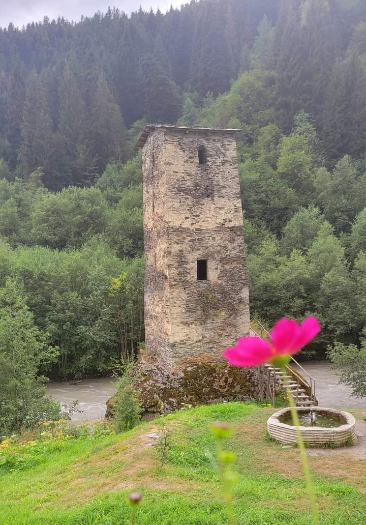 Атмосферная  Грузия с морем, сбором винограда и изготовлением вина (11/35)