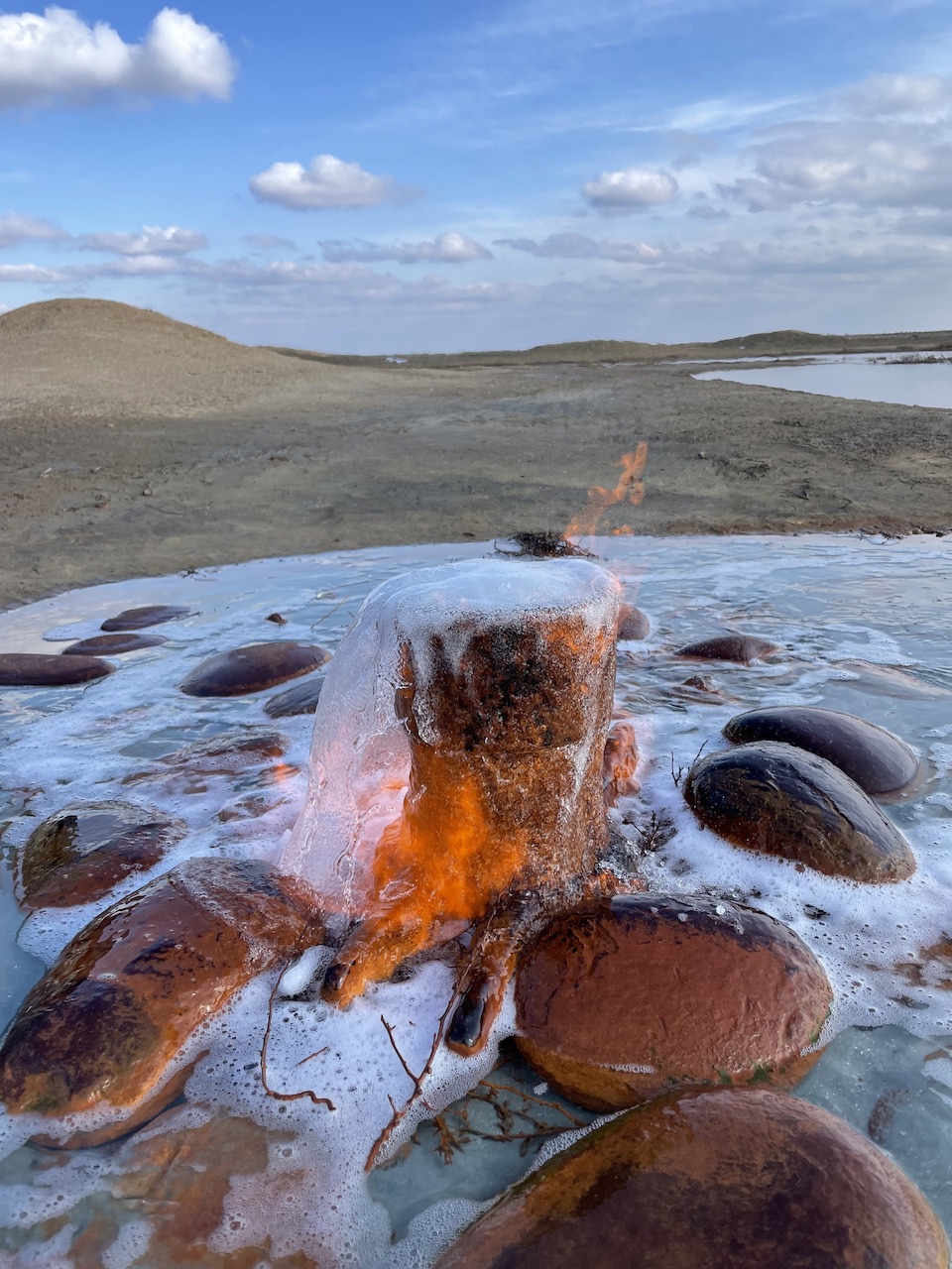 Калмыкия - родина тюльпанов! (19/30)