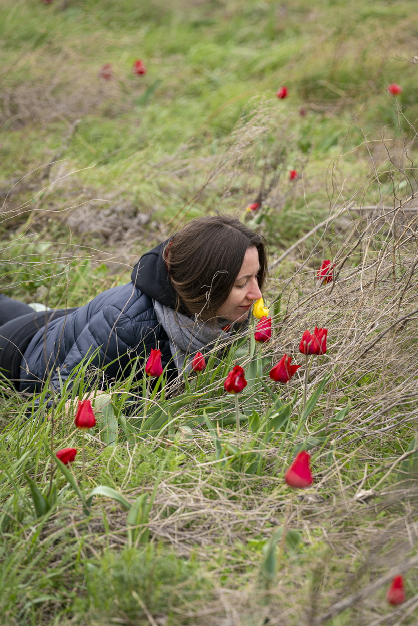 Калмыкия - родина тюльпанов! (11/30)