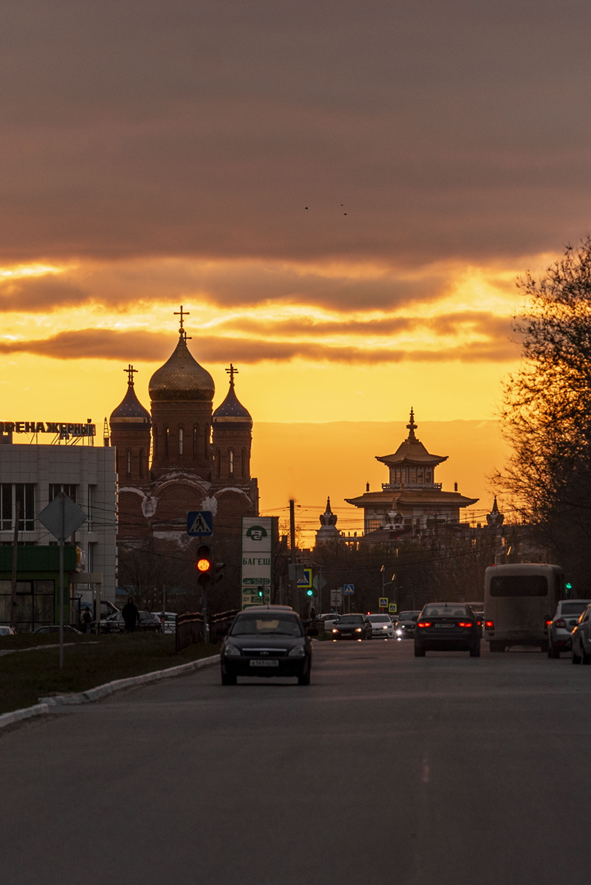 Калмыкия - родина тюльпанов! (12/30)