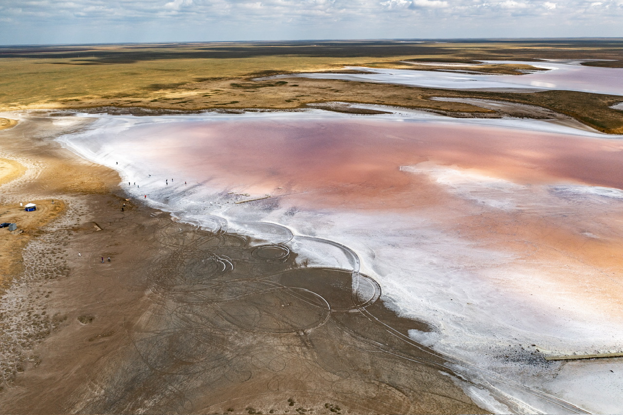 Калмыкия - родина тюльпанов! (8/30)