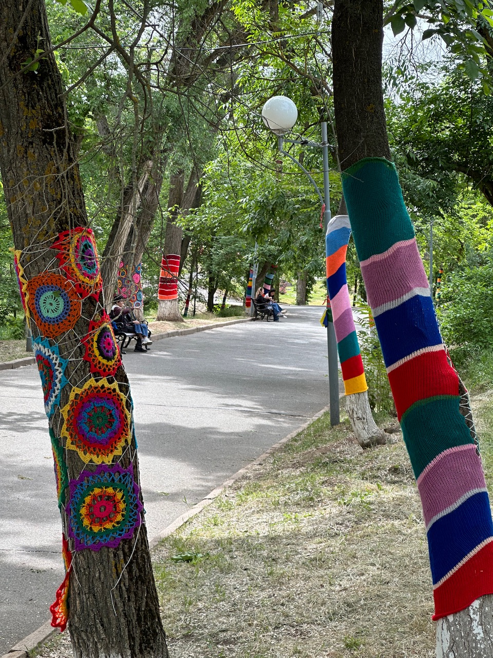 Калмыкия - родина тюльпанов! (7/30)