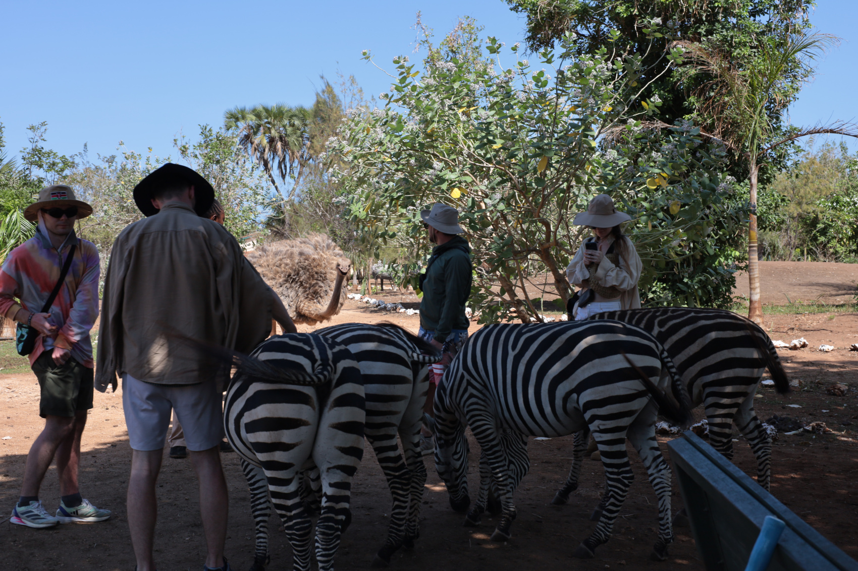 Кения Сафари+Океан (8/40)